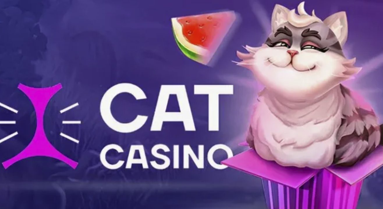 Cat casino